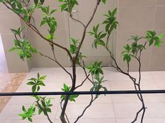 -大神太神·铁板烧(七宝领展广场店)