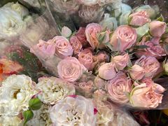 -循礼门鲜花花市(武汉循礼门店)