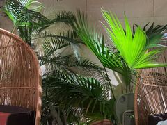 -大头椰·椰子鸡火锅(南宁万象城店)