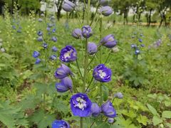 -世纪公园-世纪春沁园