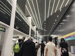 -望京西(地铁站)