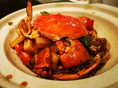 毛蟹炒年糕-新南华大酒店(广中店)