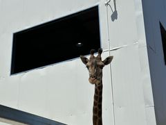 -水上乐园·欢乐世界