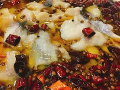 -渝乡辣婆婆·川菜 水煮鱼(中山西路店)