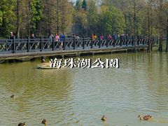 -海珠湖公园