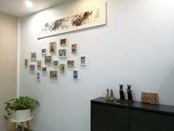 -榕树上·瑜伽普拉提