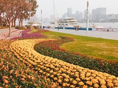 -北外滩滨江绿地