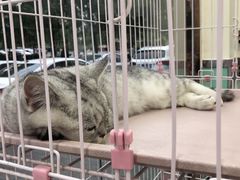 -全心全意连锁动物医院(石景山店)