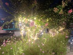 -希尔顿逸林酒店·中餐厅