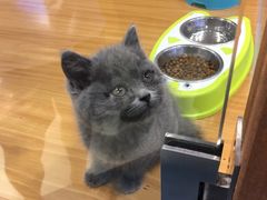 -龟与熊猫宠物公园(南坪店)