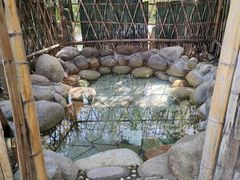 -咸宁万豪温泉谷度假区