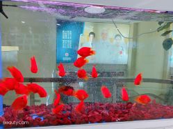 -成都军建医院·疤痕诊疗中心