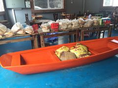大堂-石岐乳鸽村(桥观坊南四巷店)