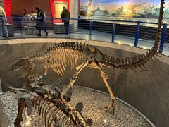 -国家自然博物馆