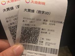 -大地影院(上海南汇店)