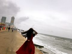 -Ministry of Crab(科伦坡店)