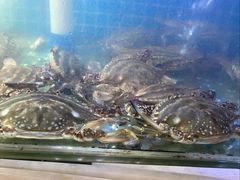 -面道赞宁海海鲜面(迎凤街店)