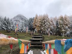 -硗碛藏寨·神木垒景区