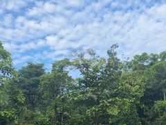 -新加坡飞禽公园