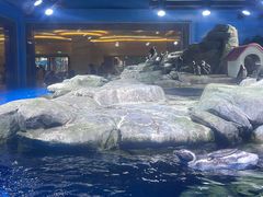 -上海海昌海洋公园