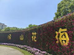 -径山花海