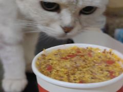 -唐猫庭院·千年陕菜(赛格国际购物中心店)