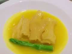 -觀芷隐轩