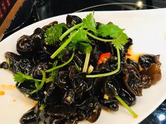 凉拌木耳-玉兰苑一等茶餐厅