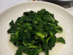 炒豆苗-老吉士酒家(天平路店)