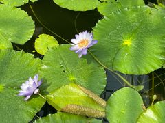 -国家植物园南园