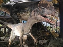 -湖南省地质博物馆