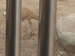 android_upload_pic-西安秦岭野生动物园