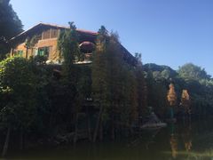 -广州市帽峰山景区