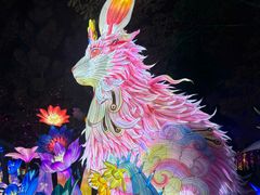 -厦门园林博览苑