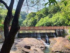 -广州白江湖森林公园