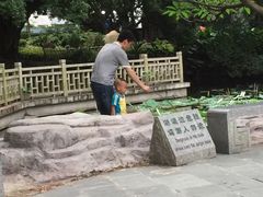 -晓港公园