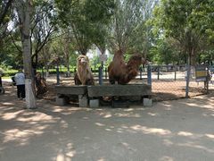 -长白岛森林公园