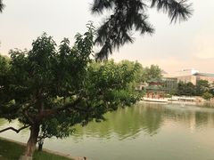 -钓鱼台国宾馆