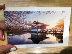 -猫的天空之城概念书店(杭州南宋御街店)