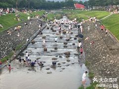 -光明小镇欢乐田园