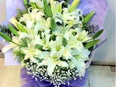 -静岸花卉园艺(三星坊店)