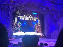 -麒麟中餐厅·经典粤菜·地道菜式老字号(广州长隆酒店)