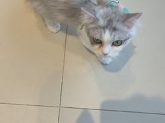 -怪兽屋·羊驼·猫咖·狗咖(俊华广场店)