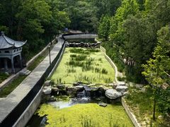 -白水寺森林公园