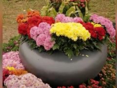 -咸阳湖景区-统一广场