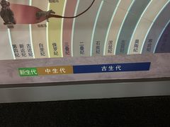 -安徽省地质博物馆