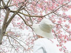 -风云岭森林公园