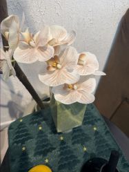 -小梨专业脱毛连锁机构
