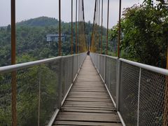 -川西竹海景区