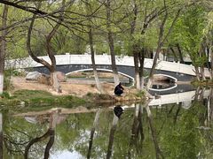 -青城公园